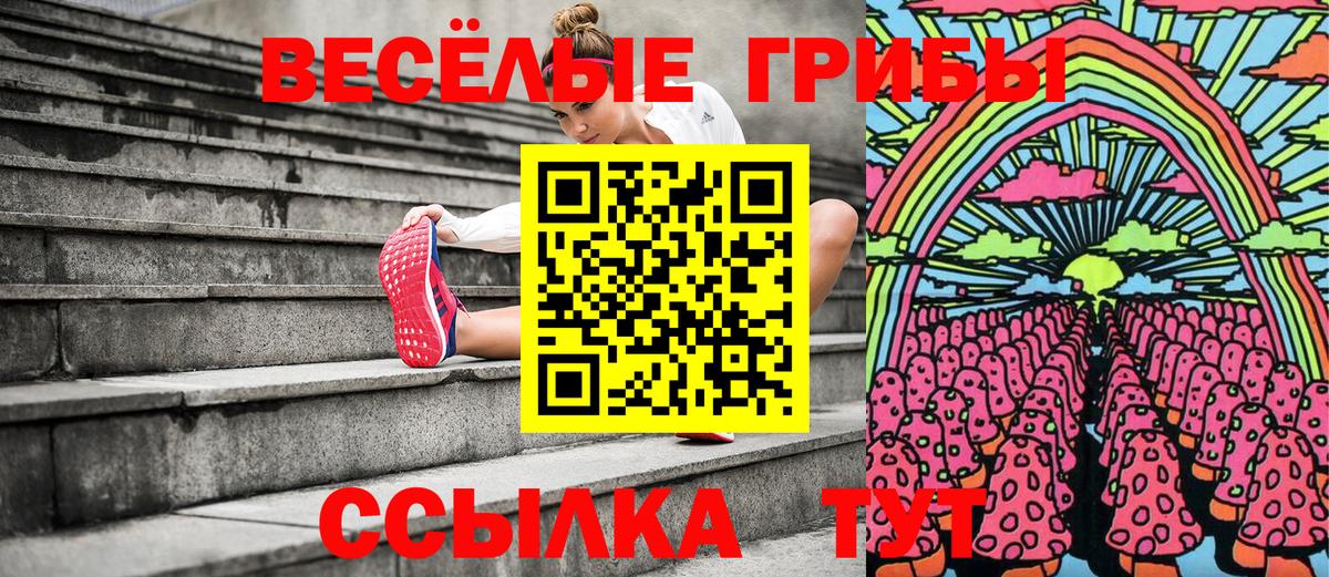 Псилоцибиновые грибы Psilocybine cubensis Клинцы