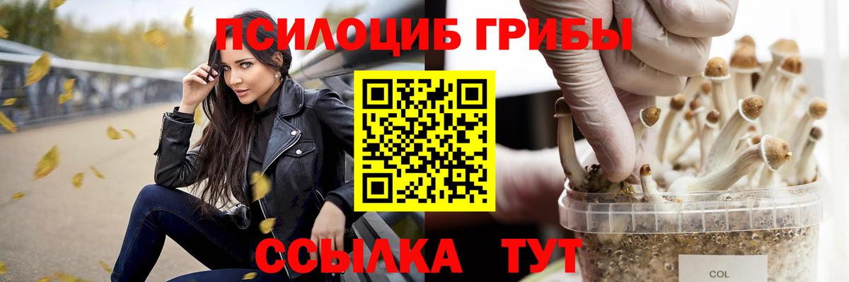 Псилоцибиновые грибы Magic Shrooms  наркотики  Клинцы  Вход с VPN 